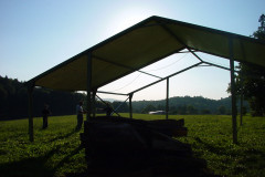 DSC00008