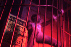 DSC00059