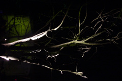DSC00157