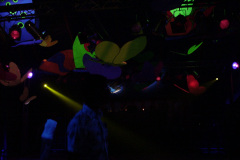 DSC00050