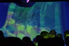 DSC00059
