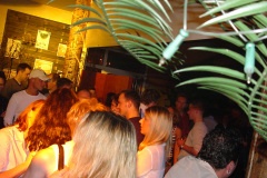 DSC00253