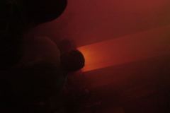 DSC06726
