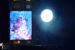 DSC07295