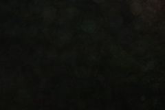 DSC07757
